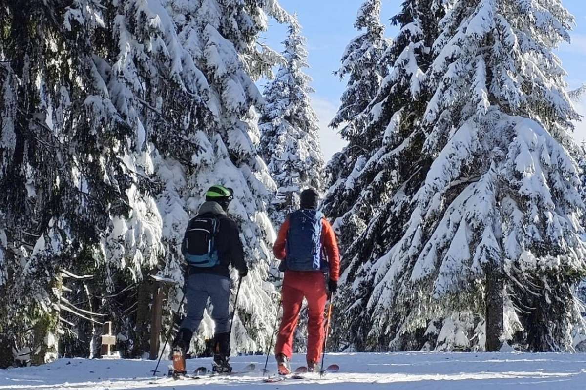 Na skialpy v Krkonoších